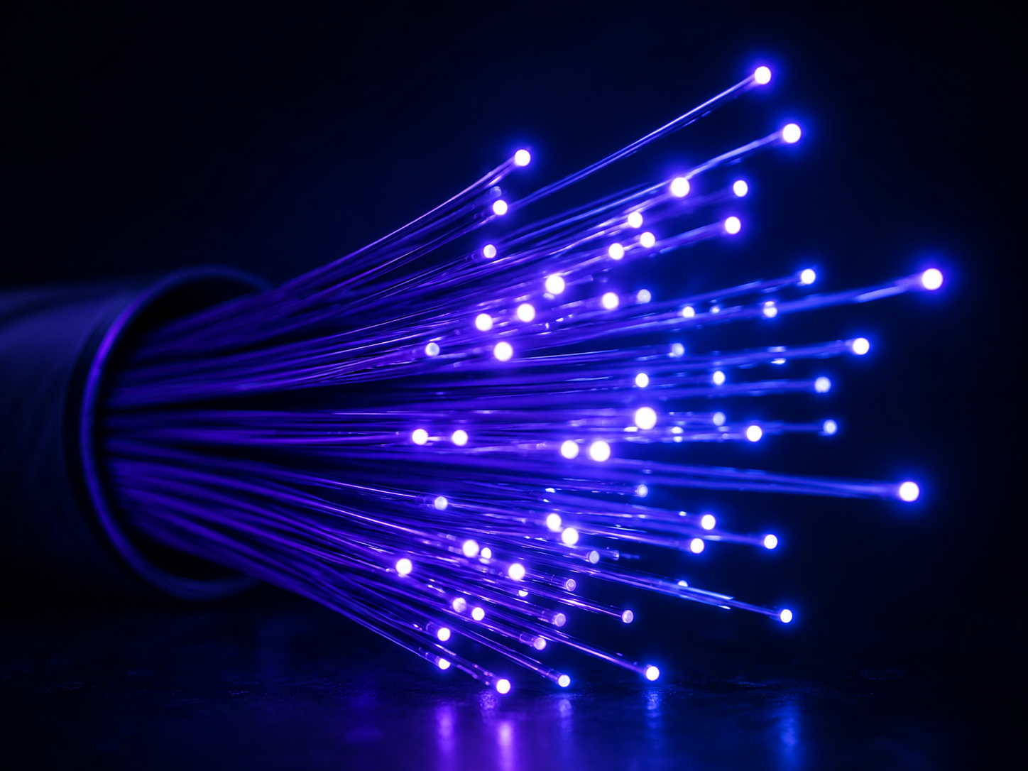 Fiber
